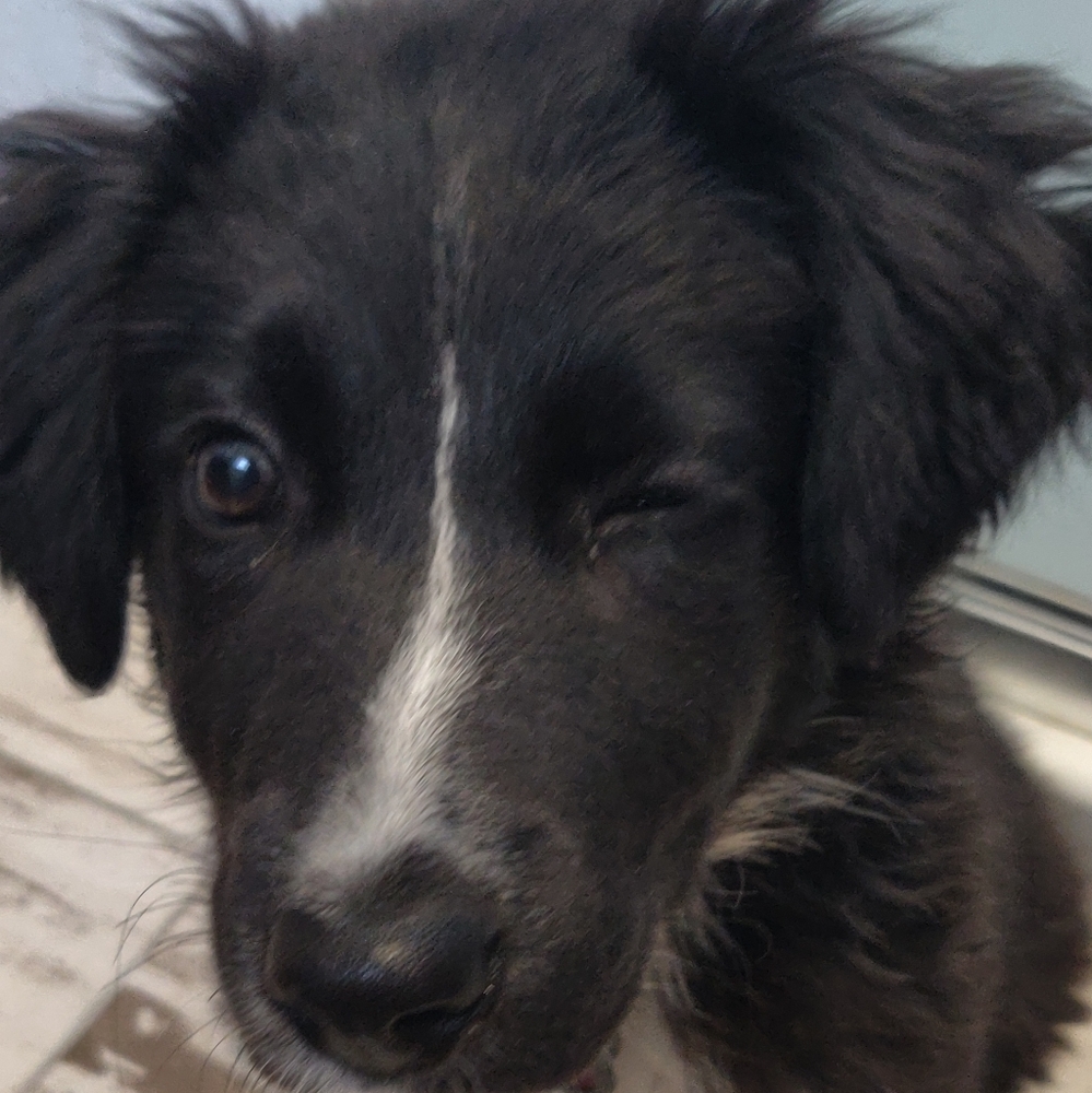 Meet your Posher, Joana